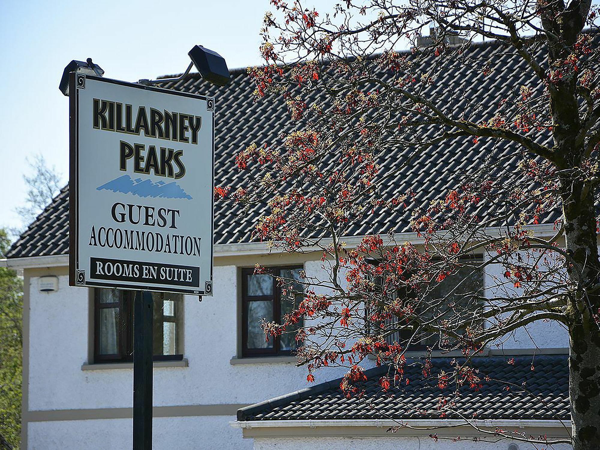 Killarney Peaks Guesthouse Dış mekan fotoğraf